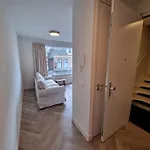 Molenzicht *