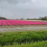 Molenzicht